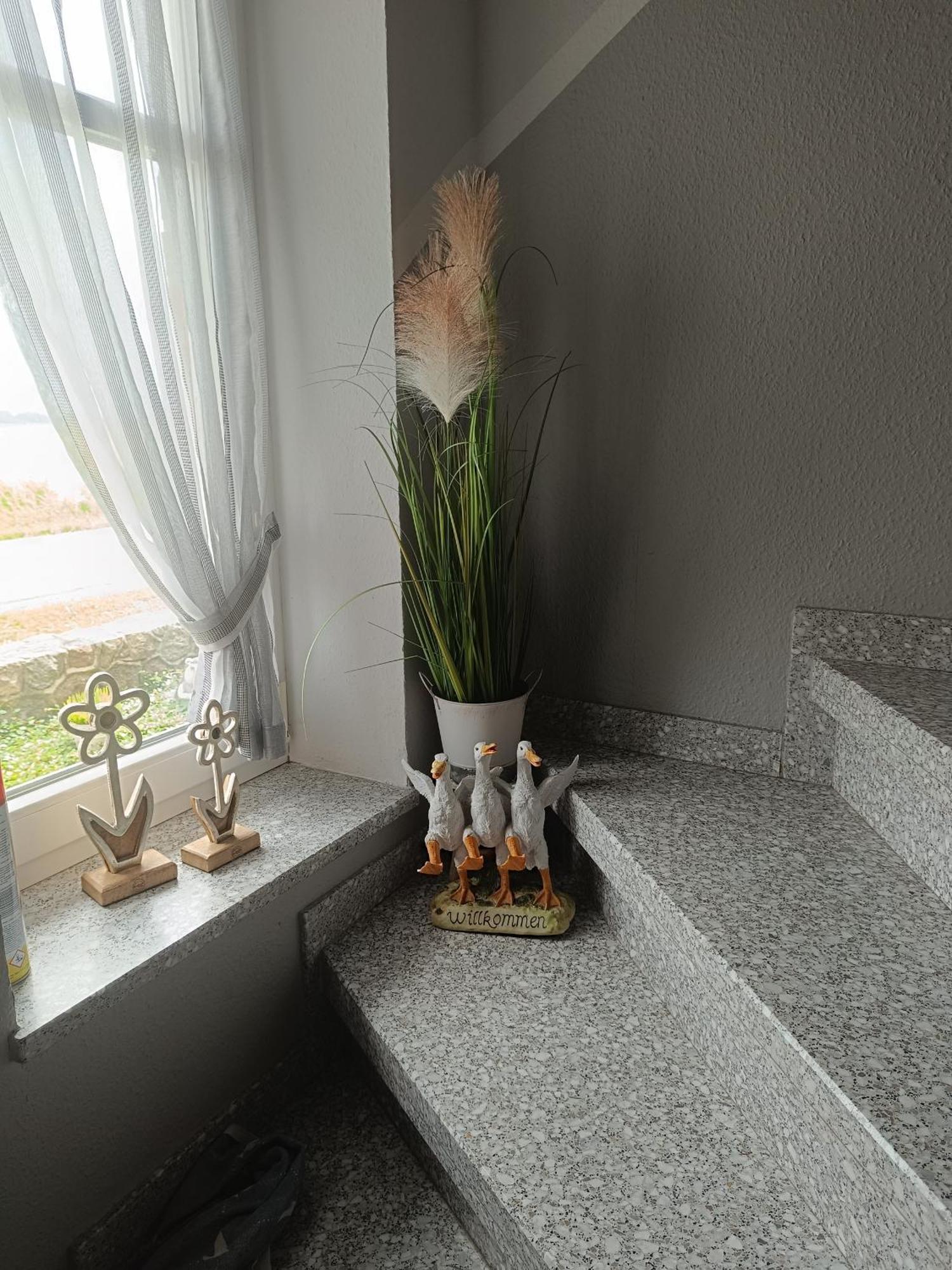 Marschblick Apartman Südermarsch Kültér fotó